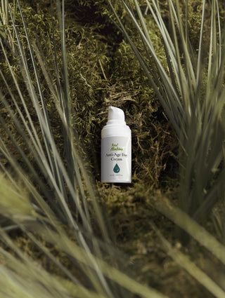 Anti-Age Day Cream